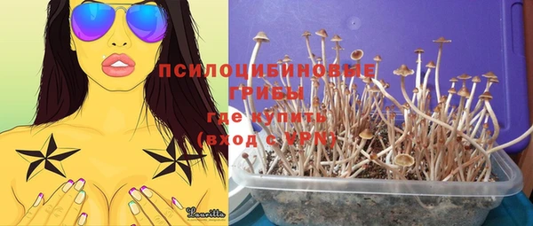 PSILOCYBIN Волоколамск